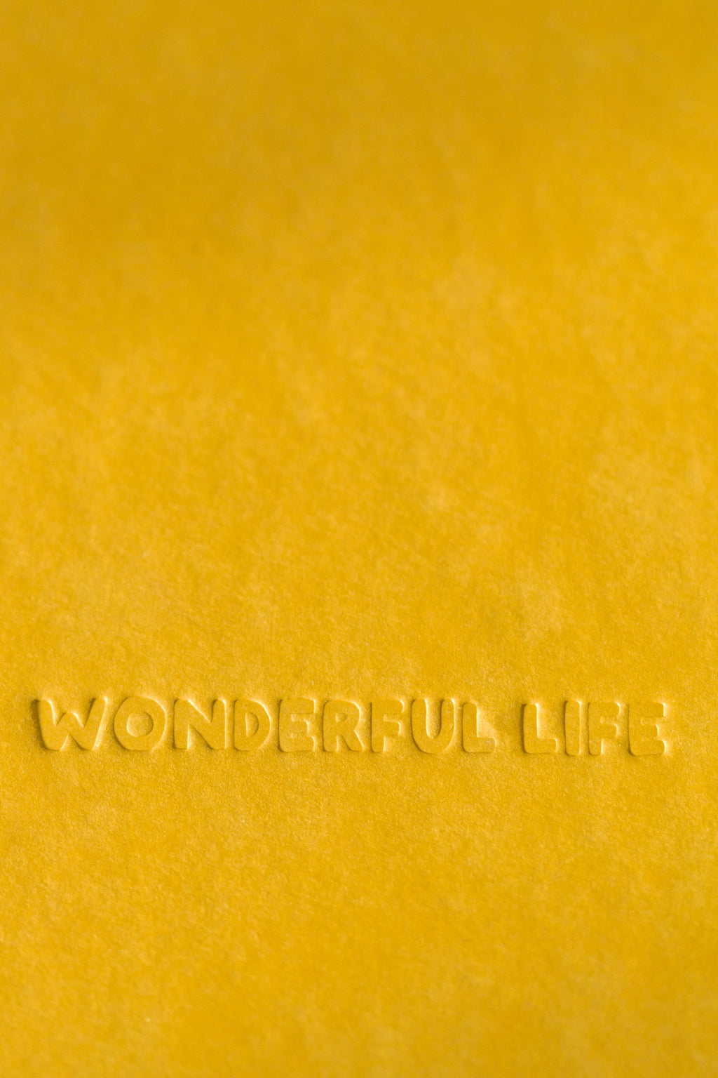 Golden Soul Album Journal