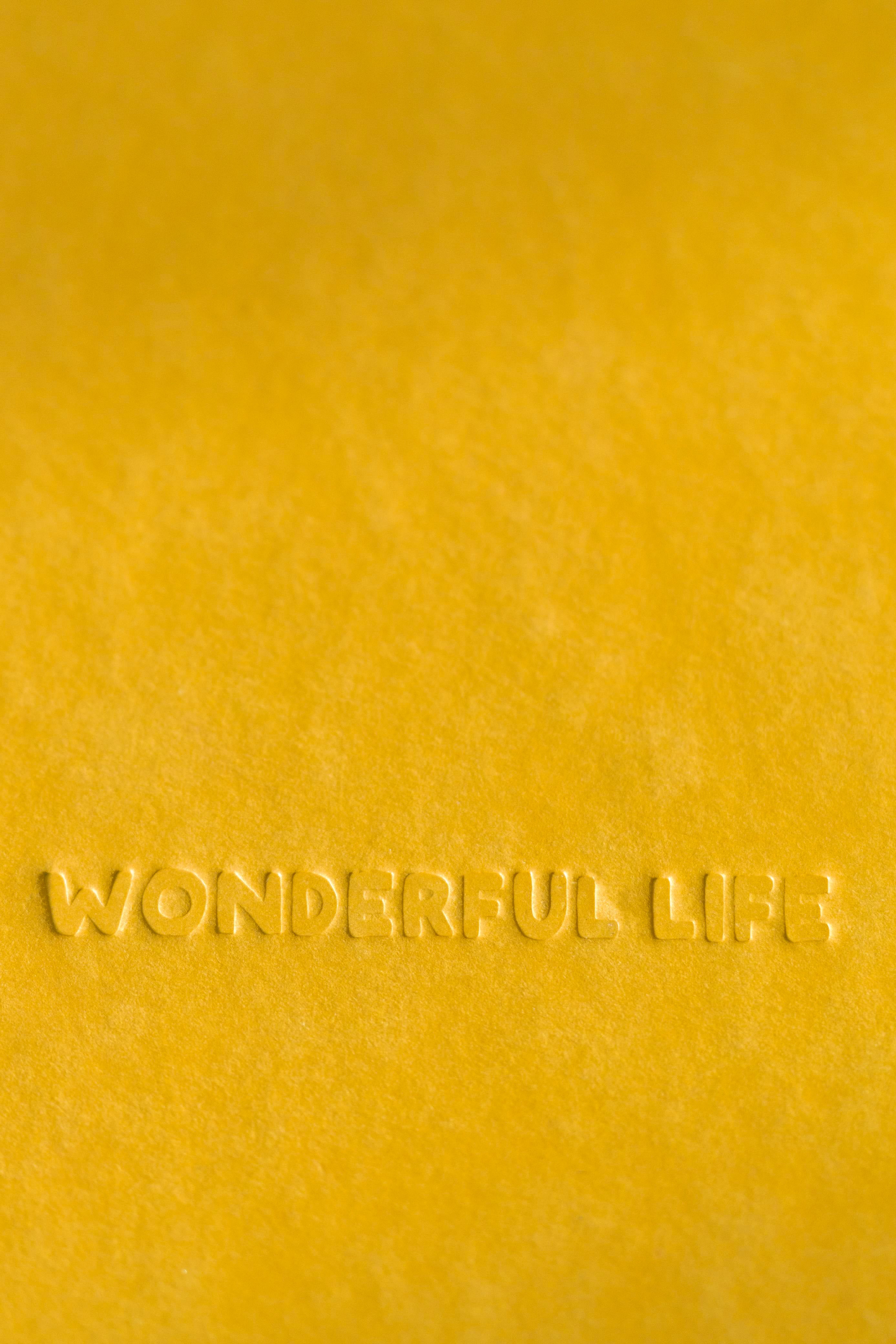 Golden Soul Album Journal